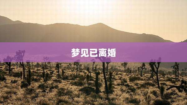 梦见已离婚