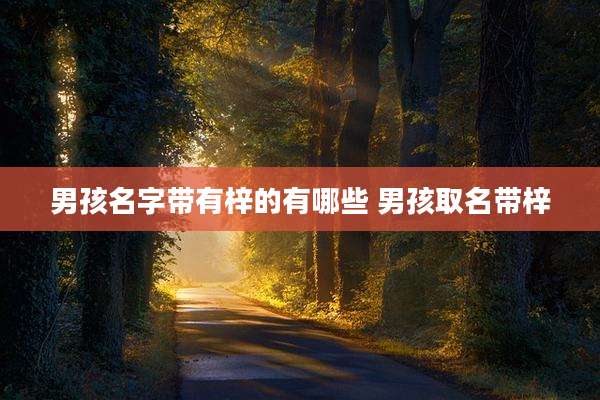 男孩名字带有梓的有哪些 男孩取名带梓