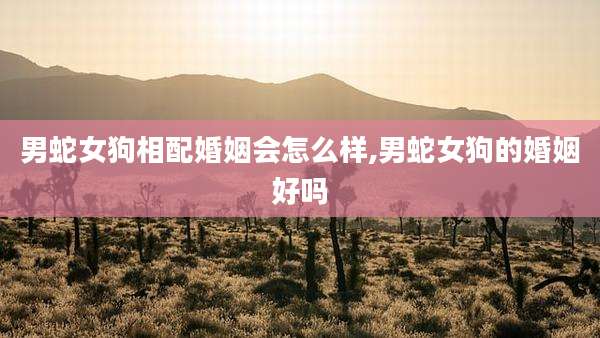 男蛇女狗相配婚姻会怎么样,男蛇女狗的婚姻好吗