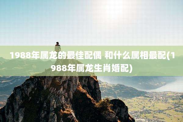 1988年属龙的最佳配偶 和什么属相最配(1988年属龙生肖婚配)