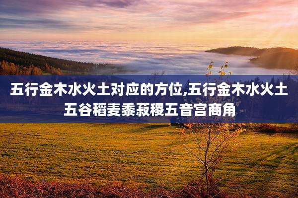 五行金木水火土对应的方位,五行金木水火土五谷稻麦黍菽稷五音宫商角