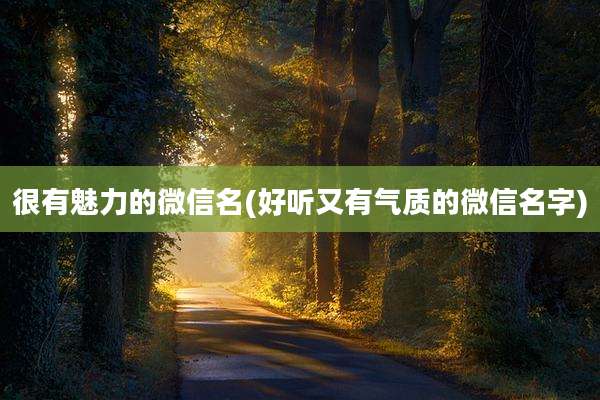 很有魅力的微信名(好听又有气质的微信名字)
