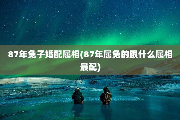 87年兔子婚配属相(87年属兔的跟什么属相最配)