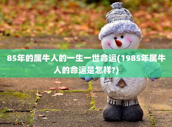 85年的属牛人的一生一世命运(1985年属牛人的命运是怎样?)