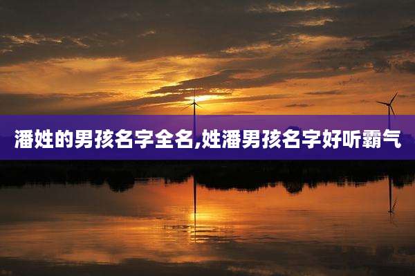 潘姓的男孩名字全名,姓潘男孩名字好听霸气