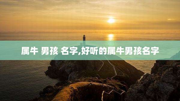 属牛 男孩 名字,好听的属牛男孩名字