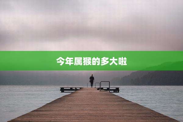 今年属猴的多大啦