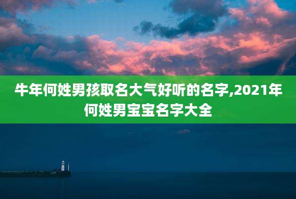 牛年何姓男孩取名大气好听的名字,2021年何姓男宝宝名字大全