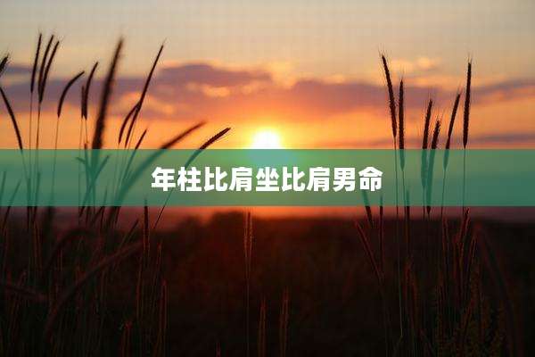 年柱比肩坐比肩男命