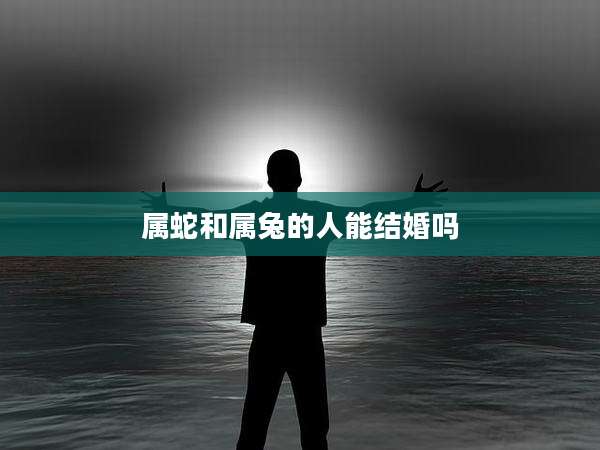 属蛇和属兔的人能结婚吗