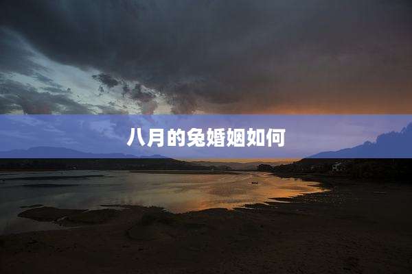 八月的兔婚姻如何