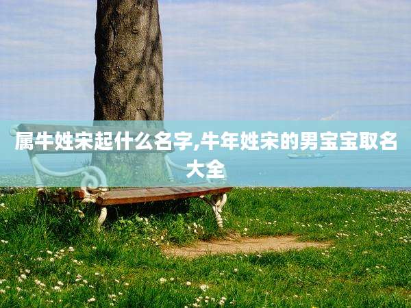 属牛姓宋起什么名字,牛年姓宋的男宝宝取名大全
