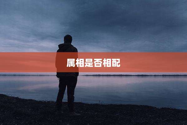 属相是否相配