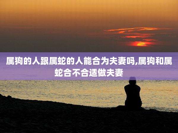 属狗的人跟属蛇的人能合为夫妻吗,属狗和属蛇合不合适做夫妻