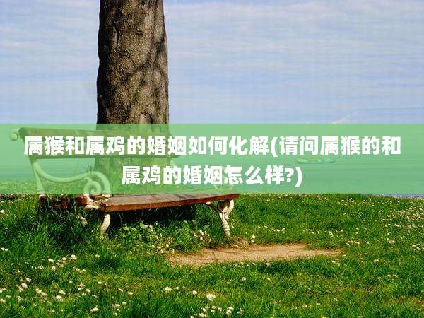 属猴和属鸡的婚姻如何化解(请问属猴的和属鸡的婚姻怎么样?)
