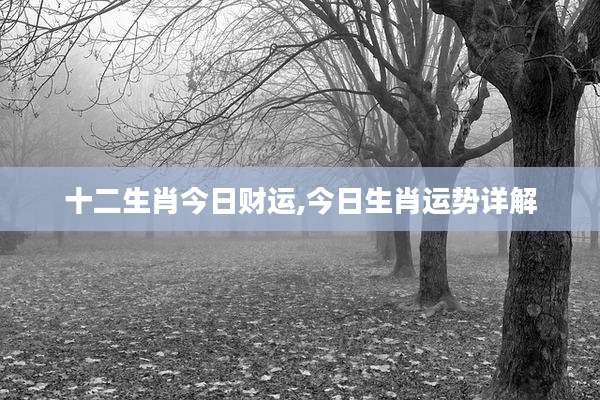 十二生肖今日财运,今日生肖运势详解
