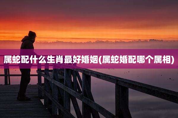 属蛇配什么生肖最好婚姻(属蛇婚配哪个属相)