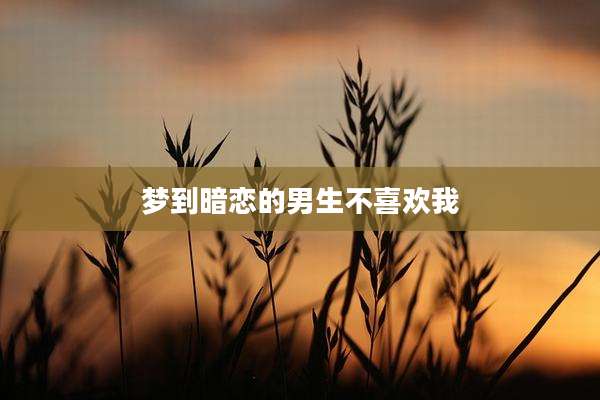 梦到暗恋的男生不喜欢我