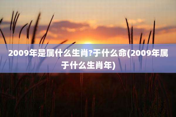 2009年是属什么生肖?于什么命(2009年属于什么生肖年)