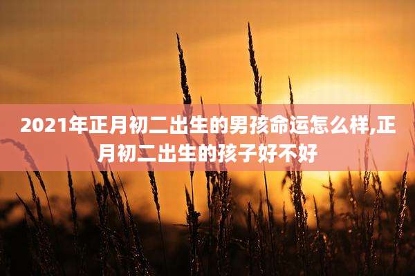 2021年正月初二出生的男孩命运怎么样,正月初二出生的孩子好不好
