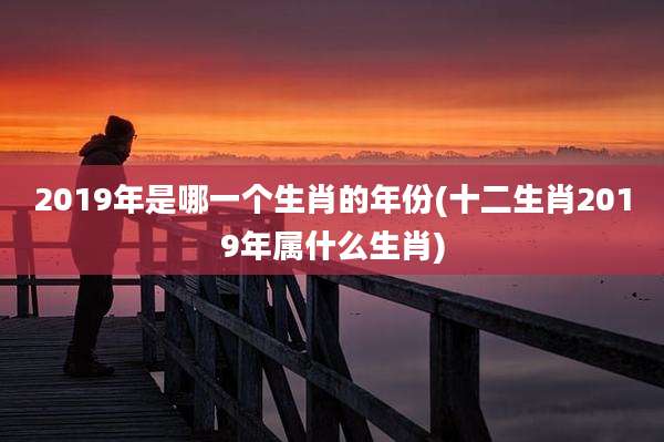 2019年是哪一个生肖的年份(十二生肖2019年属什么生肖)
