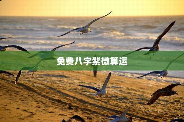 免费八字紫微算运