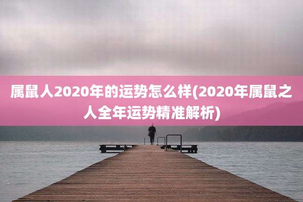属鼠人2020年的运势怎么样(2020年属鼠之人全年运势精准解析)