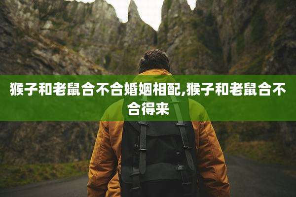 猴子和老鼠合不合婚姻相配,猴子和老鼠合不合得来
