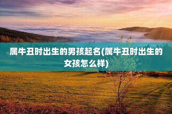 属牛丑时出生的男孩起名(属牛丑时出生的女孩怎么样)