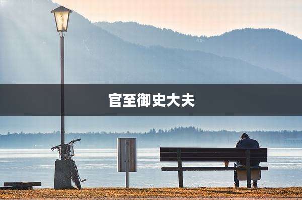 官至御史大夫