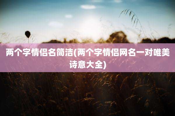 两个字情侣名简洁(两个字情侣网名一对唯美诗意大全)