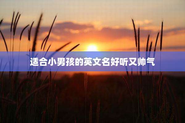 适合小男孩的英文名好听又帅气