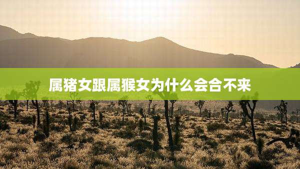 属猪女跟属猴女为什么会合不来