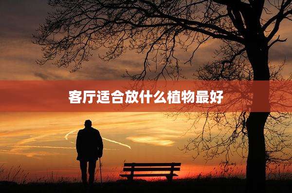 客厅适合放什么植物最好