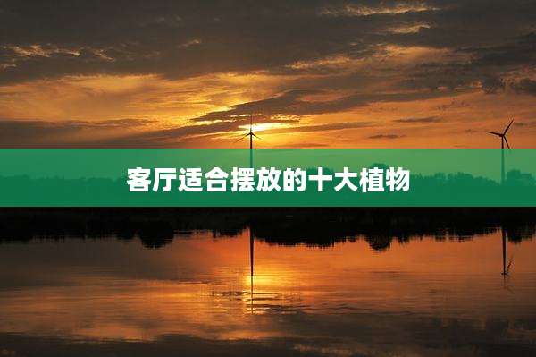 客厅适合摆放的十大植物