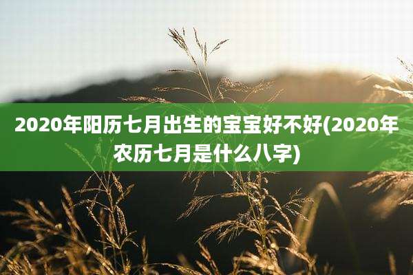 2020年阳历七月出生的宝宝好不好(2020年农历七月是什么八字)