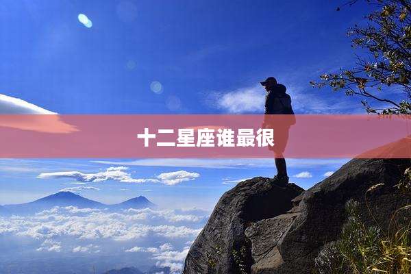 十二星座谁最很