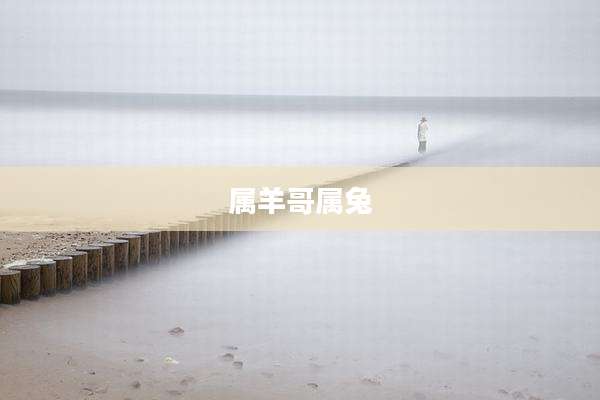 属羊哥属兔