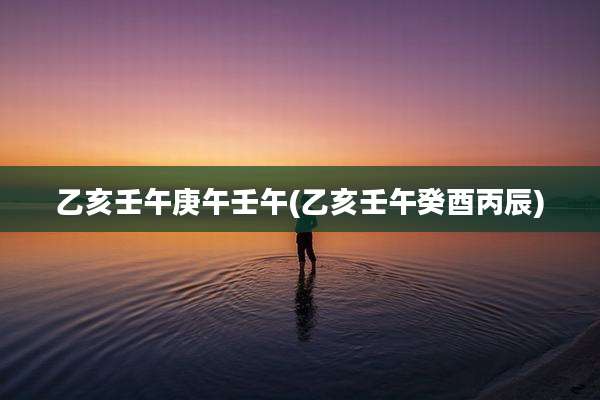 乙亥壬午庚午壬午(乙亥壬午癸酉丙辰)