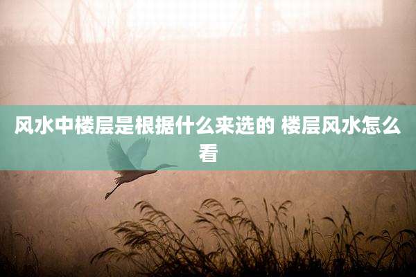 风水中楼层是根据什么来选的 楼层风水怎么看