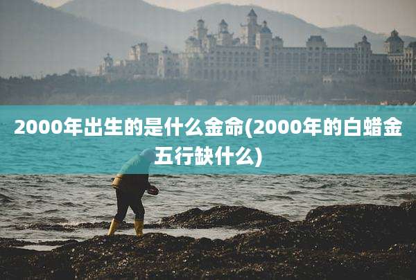 2000年出生的是什么金命(2000年的白蜡金五行缺什么)
