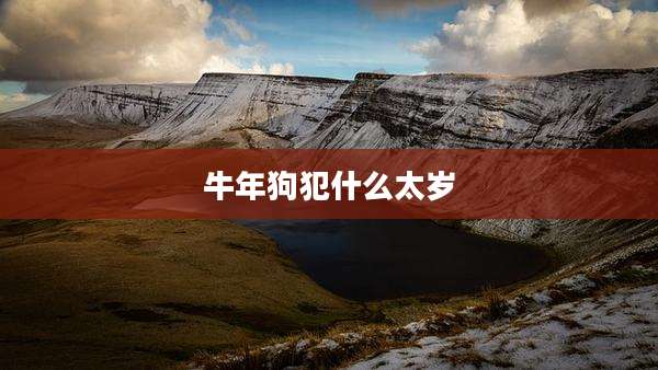 牛年狗犯什么太岁