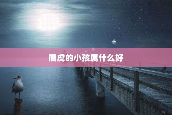 属虎的小孩属什么好