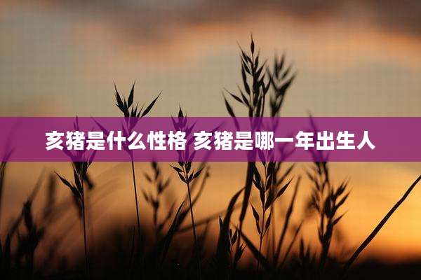 亥猪是什么性格 亥猪是哪一年出生人