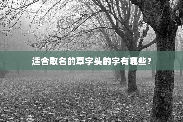 适合取名的草字头的字有哪些?