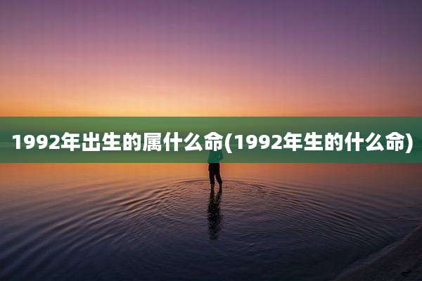 1992年出生的属什么命(1992年生的什么命)