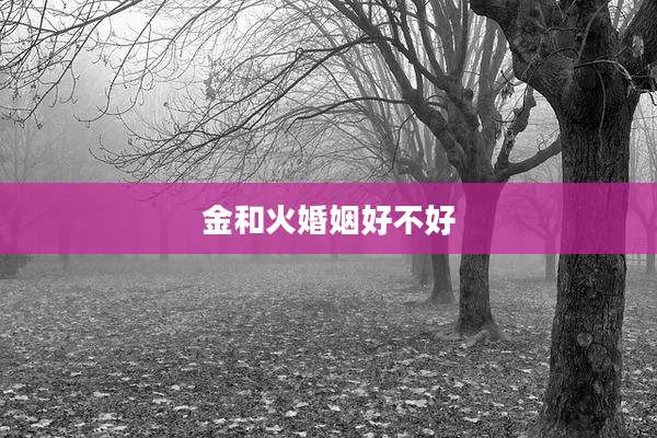 金和火婚姻好不好