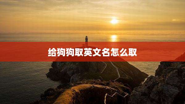 给狗狗取英文名怎么取