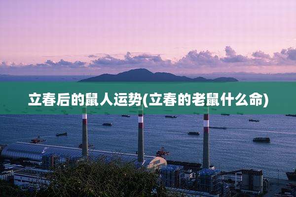 立春后的鼠人运势(立春的老鼠什么命)