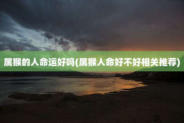 属猴的人命运好吗(属猴人命好不好相关推荐)